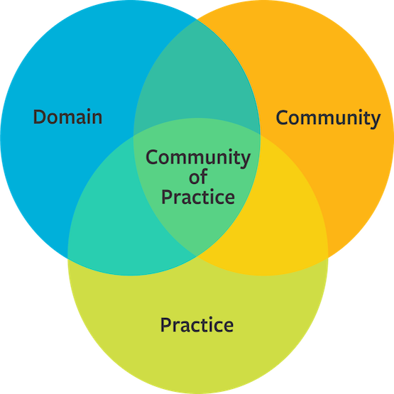 Venn diagram with 3 circles—Domain, Community, & Practice. Overlap is labeled Community of Practice.