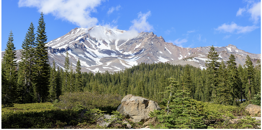 photo of mount shasta 